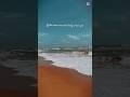 #travel #foryou #music #viral #sunset #song #love #shorts #fyp #viral #srilanka #beach #visitsrila
