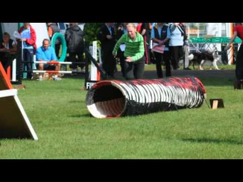 Tunbridge Agility Weekend.m4v