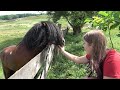 In vizita la stana domnului Codru de la Tibeni, Bucovina - 2020 Nou!!!