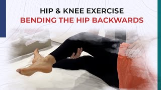 Hip and Knee Exercise - Bending the Hip Backwards