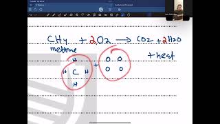 1. O Level / IGCSE Biology | Basics of Enzymes
