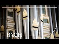 Bach - Nun komm, der Heiden Heiland BWV 661 - Van Doeselaar | Netherlands Bach Society