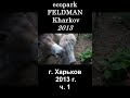 █  ЭкоПарк ФЕЛЬДМАН / ч. 1 / 2013 г. #shorts