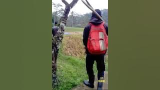 Aa aya dimana ( Dengerin lagu ini pasti ingat masa lalu )