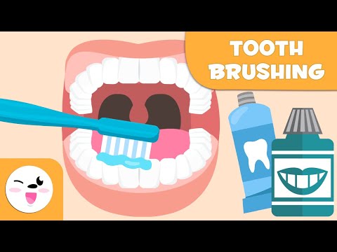 How to Brush Your Teeth - Tooth Brushing for Kids
