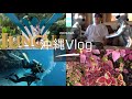 【沖縄Vlog】運動音痴が初ダイビング＆ジャングリアに辛口レビュー【満喫旅】