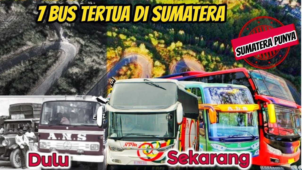 7 Bus TERTUA di SUMATERA dan Populer Sampai Sekarang
