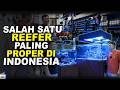 GREBEK REEFER - NGEREEF DARI TAHUN 2007 + ALAT YANG PROPER!