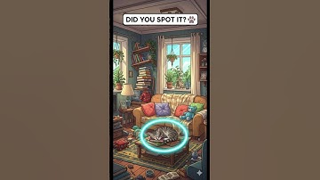 Can You Find the Hidden Cat in 5 Seconds? 🐱🔎 #shorts