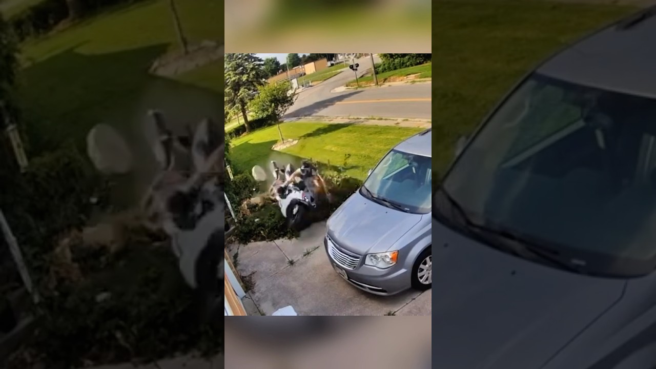 WYD if someone crashes into your house like this? 😳 