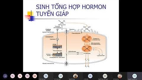 Hormon tuyến giáp và các thuốc kháng giáp.