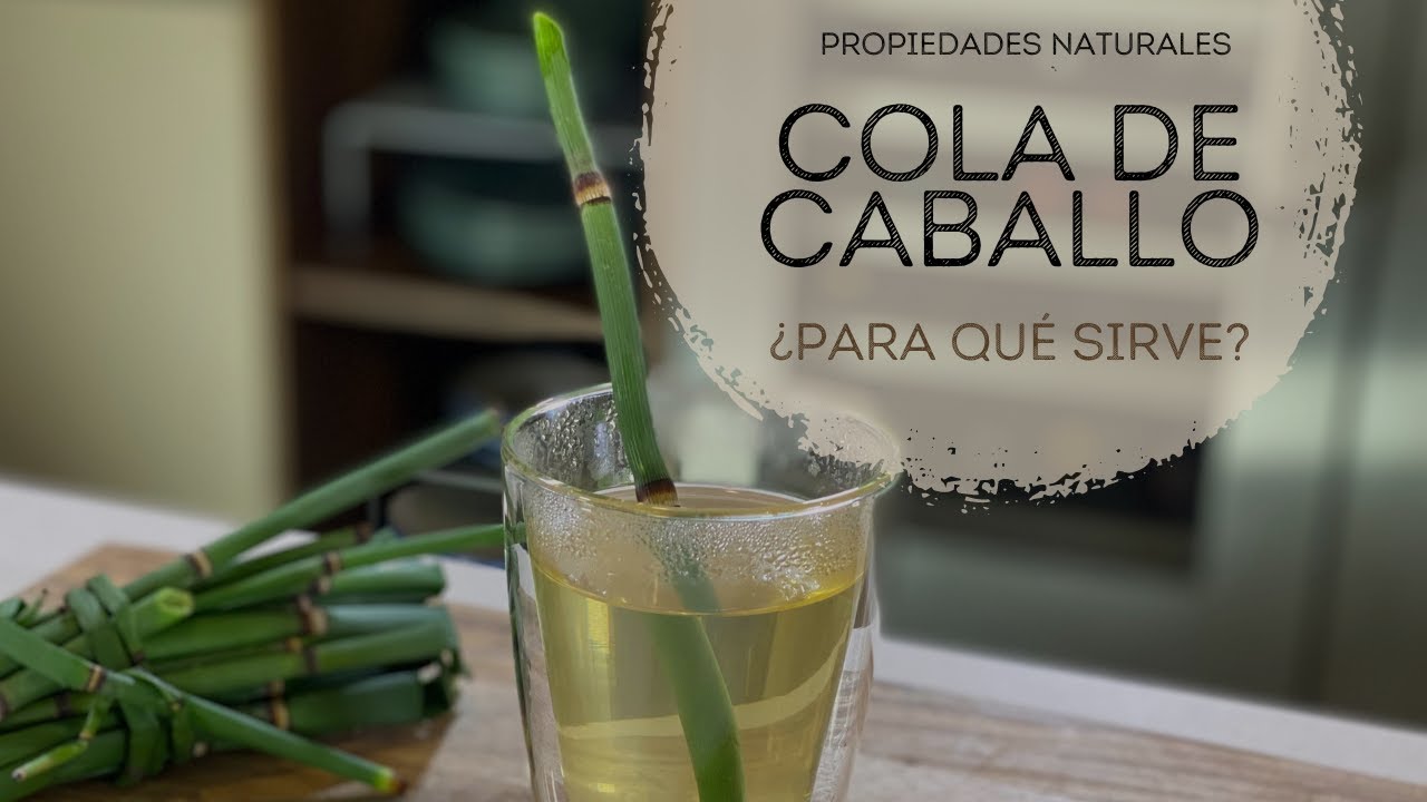 Infusión de cola de caballo para qué sirve