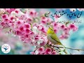 لوح عاشق و معشوق (گل و بلبل) با نوای تار- به مناسبت عید رضوان