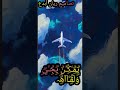 جديد شيله مظنتي انساه جديد شيله مظنتي انساه