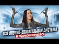 Опорно-двигательная система: тотальный разбор для ЕГЭ по биологии | Умскул