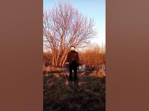 03 2024. 03 2024. Что произошло в москве 22. Машины в москве. Что произошло в москве 22.