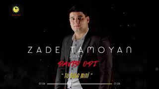 ZADE TAMOYAN feat DAVID ODI - \