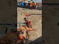 embestida+kill #gaming #forhonorgame #forhonorclips #invasor