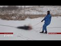 В Орловском районе рыбак ушел под лёд. Спасти мужчину не удалось