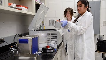 Dartmouth Engineering PhD Innovation Program