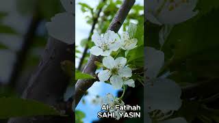 SAHL YASIN- 001 ALFATIHA #murottalquran #alfatihah