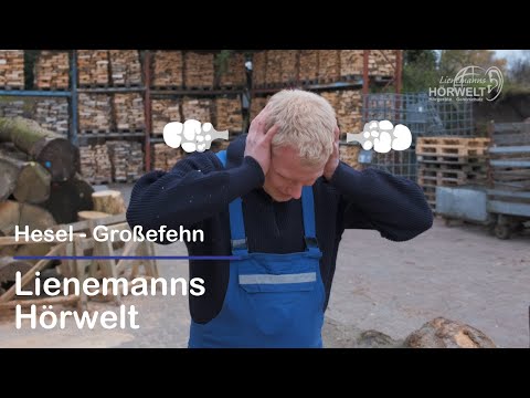 Lienemanns Hörwelt Hesel