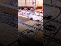 مريم عليها السلام بدر المشاري حالات واتساب الشيخ بدر المشاري