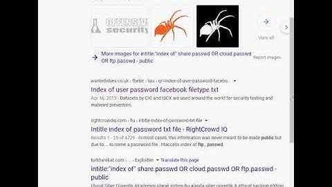 Google Dork: Find Files Containing Passwords