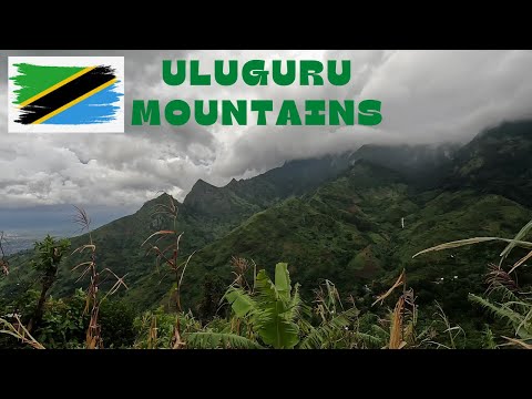 Hiking The Uluguru Mountains || Morogoro Tanzania