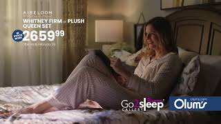 OLUMS TV30 NBF Go2SleepGallery 22 02 4K