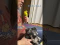 鳥にごめんって言われてた