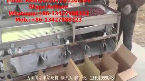 QY-01 dried dates grading machine, fruit and vegetable grading machine