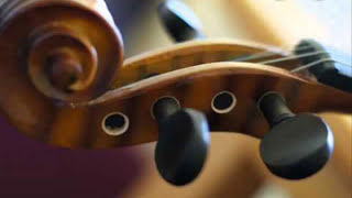 محمد عبده   على البال   على العود           سمعها