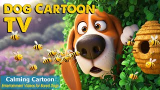 Cartoon for Dogs: All Day Entertainment Videos for Bored Dogs Home Alone - Dog TV & Relaxing Music