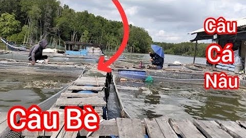 Câu cá Nâu Bè ||Trúng Bầy cá Nâu Khủng ||Câu Bè Long Thọ với cần thủ Nữ @Dammecauca1