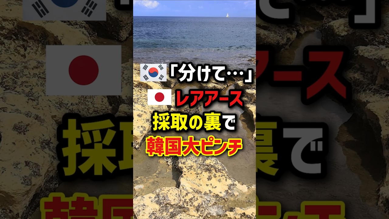 🇰🇷｢分けて…｣🇯🇵レアアース採取の裏で韓国大ピンチ　#海外の反応