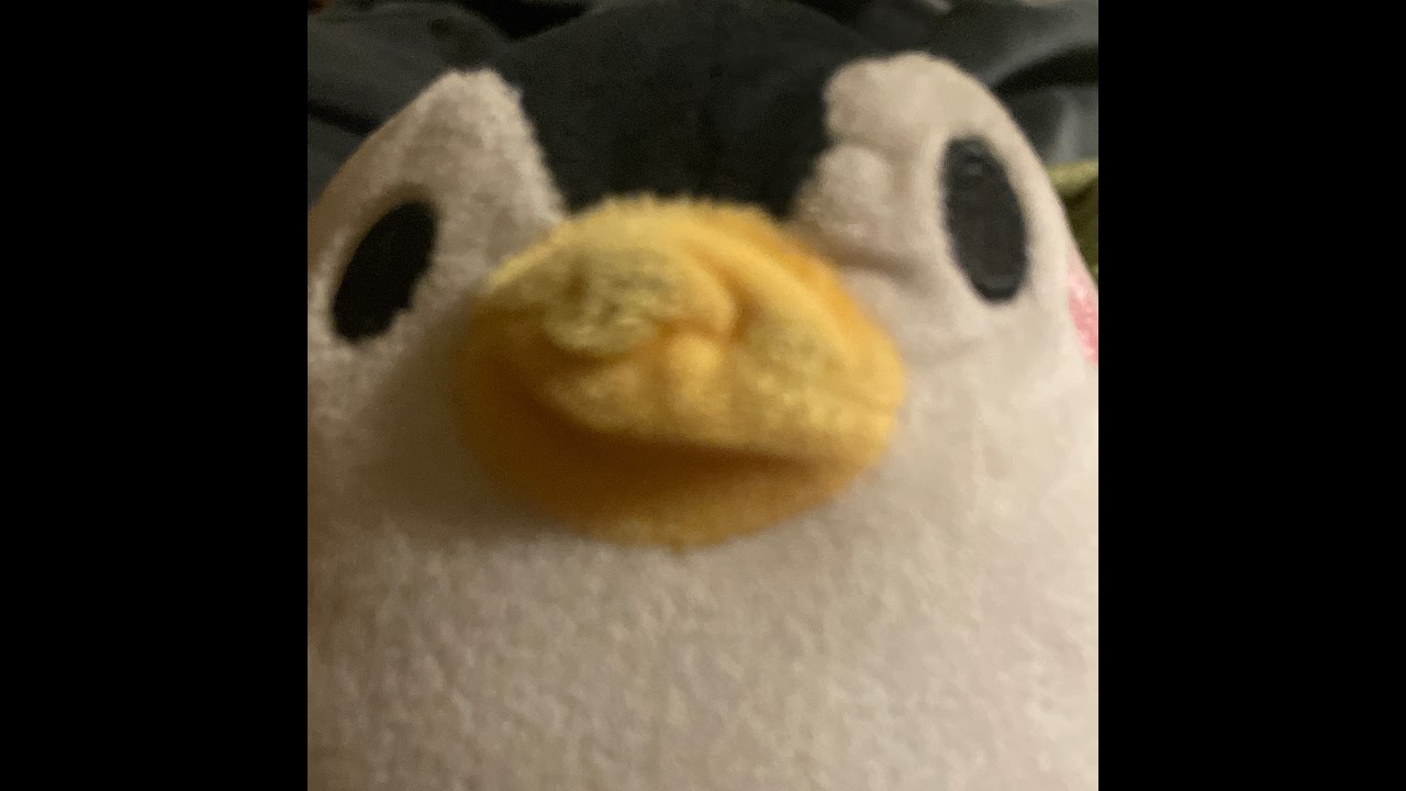 Mrpenguin Live Stream - YouTube