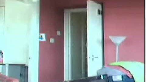 bullock construction  theft ov can ov coke & celebrations sweets from flat there working in