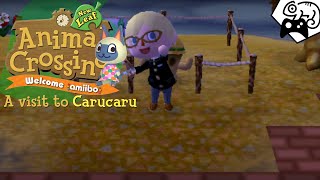 A visit to Carucaru #5 - Animal Crossing: New Leaf