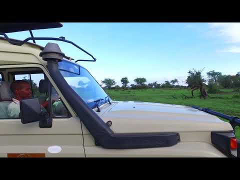 Serengeti Simba Lodge