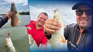 Download Lagu Balin parádé a Tisza tavon Valentin apukával🧑🍼 👏 MP3 Download Lagu Balin parádé a Tisza tavon Valentin apukával🧑🍼 👏 MP3