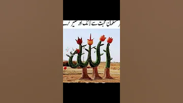 عليك ببر الوالدين 