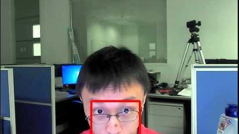 Face Tracking (a real-time demo)