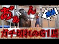 大好きな25歳のG1馬がガチ切れをし、人に向かって本気の威嚇…。仲直りしたいです。【ツルマルボーイ様のシモベ】