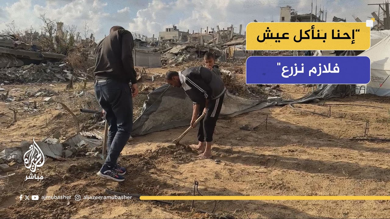 "كلفتني دم قلبي".. مزارع فلسطيني يحول الأنقاض إلى مزرعة