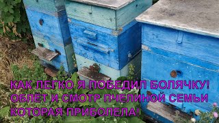 Как я победил болячку АСКОСФЕРОЗ беда на пасеке была и ушла 🐝🐝🐝