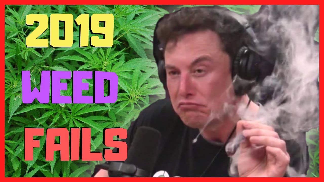 2019 BEST WEED FAILS | Smoking Weed Fails Compilation #3