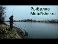 Рыбалка на Москве реке в ноябре. Поклевки на фидер.