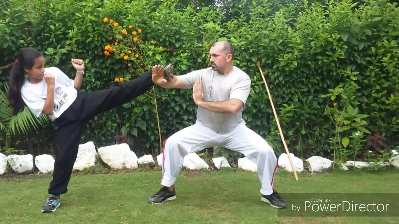 Fundamentos do Kung fu Posturas! (Shaolin Kung Fu Stances) YouTube