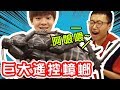 大蟑螂出擊！YouTuber驚聲尖叫，整人大成功【黃氏兄弟】 Ft.一大堆創作者 PRANK